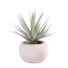 CASA Cement Planta Crasa Art En Tarro Gris| Plantas Artificiales