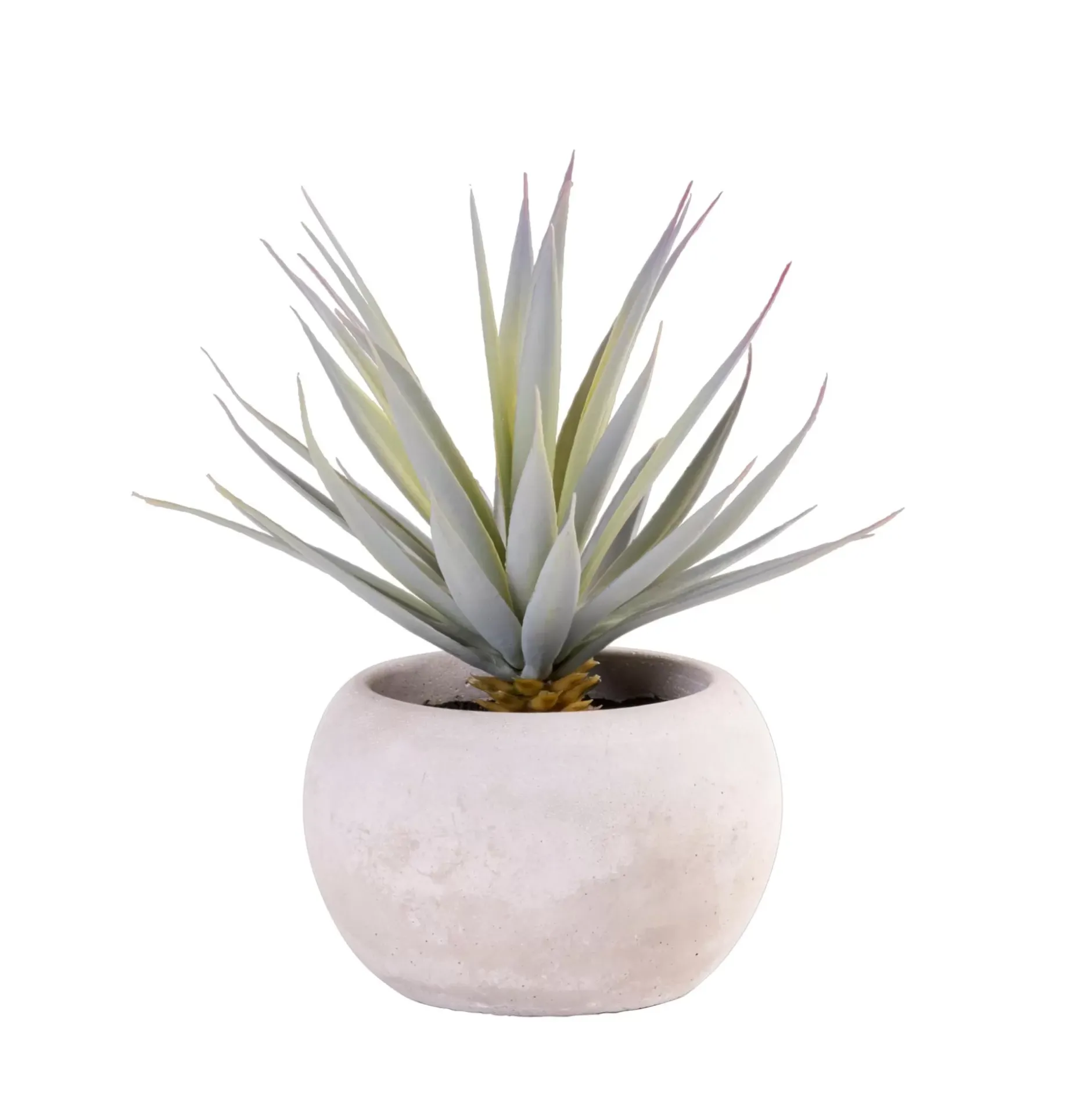 CASA Cement Planta Crasa Art En Tarro Gris| Plantas Artificiales