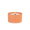 CASA Citronella Bandeja De Terracota Blanco, Verde| Velas Para Exterior