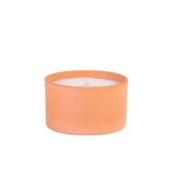 CASA Citronella Bandeja De Terracota Blanco, Verde| Velas Para Exterior