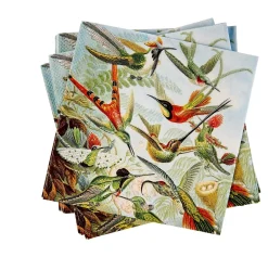 CASA Colibri Paquete De 20 Servilletas Multicolor| Servilletas