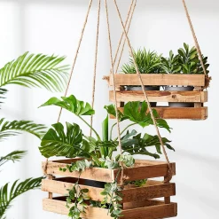 CASA Crate Caja Natural| Cajitas
