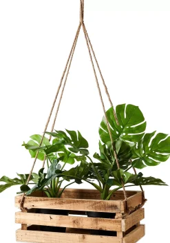 CASA Crate Caja Natural| Cajitas