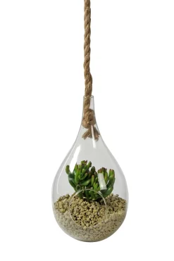 CASA Drop Gota De Vidrio Transparente| Colgadores Para Plantas
