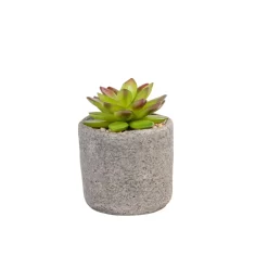 CASA Granit Planta Crasa En Maceta Verde| Plantas Artificiales