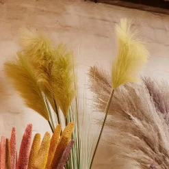 CASA Grass Cana Con Pluma Verde| Ramos Artificiales
