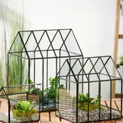 CASA Greenhouse Invernadero Transparente| Soportes Para Plantas
