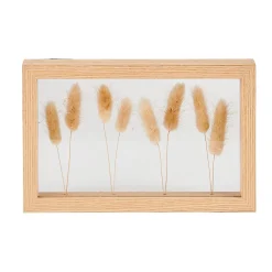 CASA Lagurus Decoracion De Pared Natural| Decoracion De Pared