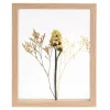 CASA Limonium Decoracion De Pared Natural| Decoracion De Pared