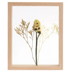 CASA Limonium Decoracion De Pared Natural| Decoracion De Pared
