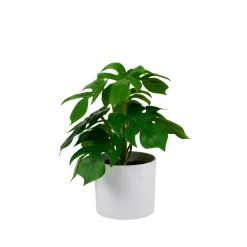 CASA Monstera Planta Varios Colores| Plantas Artificiales