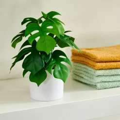 CASA Monstera Planta Varios Colores| Plantas Artificiales
