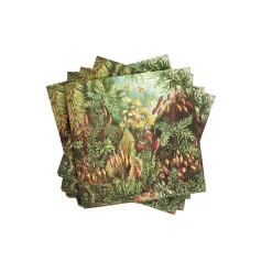 CASA Moss Paquete De 20 Servilletas Multicolor| Servilletas