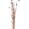 CASA Phalaris Hierba Ornamental Cobrizo| Plantas Artificiales