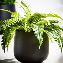 CASA Sense Macetero Negro| Maceteros De Jardín