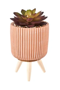 CASA Stripe Planta Crasa Art En Tarro Multicolor| Plantas Artificiales