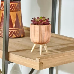 CASA Stripe Planta Crasa Art En Tarro Multicolor| Plantas Artificiales