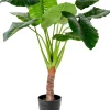 CASA Taro Planta Artificial Aro Verde| Plantas Artificiales