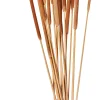 CASA Typha Canas Juego De 15 Natural| Flores Artificiales